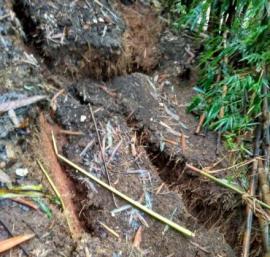 Pasca Hujan Deras, Tanah Di Gentungan Ambles 2 Meter